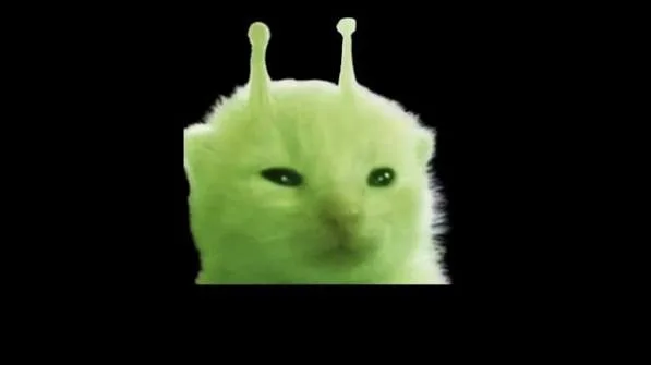 The Glorp — a phosphor-green cat with antennae
